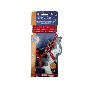 Vadigran Harnais + Laisse pour chat