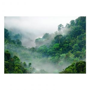 Image de Artgeist Papier peint brouillard du matin - 350 x 245 cm - Blanc et Vert