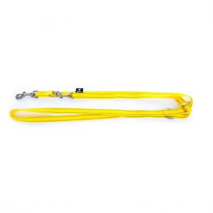 Martin Sellier Laisse pour chien multifonction nylon