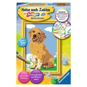 Peinture par numéros - Petit Golden Retriever