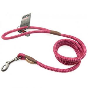 Laisse IMAO Hyde park &oslash; 9 mm x 1,2 m&egrave;tre Fuchsia pour chien zolux ZO 466775FUS