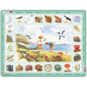 Image de Larsen Puzzle Cadre - Apprendre l'Anglais : Au Bord de Mer (en Anglais)