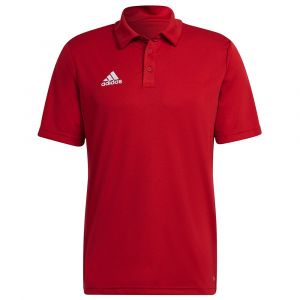 Adidas Polo à Manches Courtes Entrada 22 XL Team Power Red 2