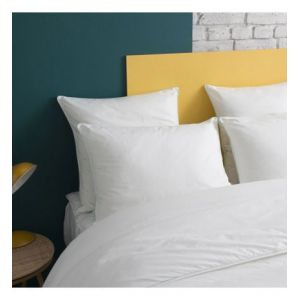 Oreiller MOELLEUX Gonflant Durable - Coton Bio 50x70 cm - Wake Me Gre
