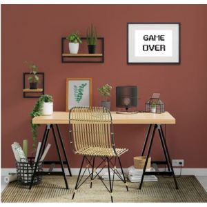 Shot Cadre Photo Game over 30x40cm avec P e Partout Tableau Bois Verre (NOIR)