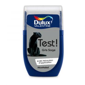Image de Dulux Valentine Testeur peinture murs et boiseries Cr&egrave;me de couleur gris sage satin 30ml
