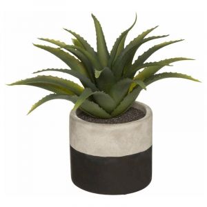 Silumen - Plante verte artificielle Aloe Vera 28cm avec pot bicolore - Multicouleur