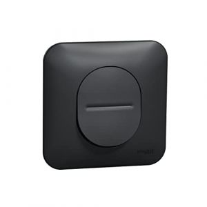 Schneider Electric Ovalis - Interrupteur va et vient - 10 ax Avec plaque de finition -Anthracite (S460204)
