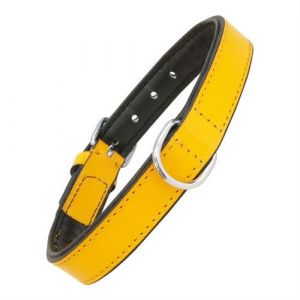 Gloria Collier pour Chien Rembourré 35 1 5 cm Jaune