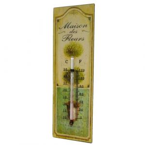 L'héritier du temps Thermomètre Mural ou à Poser Décoratif en Celsius et Farenheit Motif -Floral- en Fer et Papier Vernis 0,5x8x25cm Multicolore
