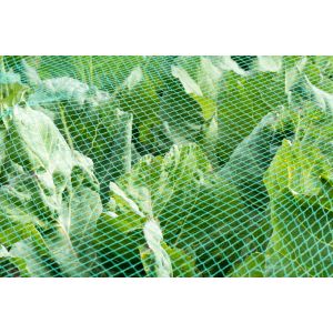 Filet De Bassin 13 M X 10 M Filet À Feuilles, Filet De Silo, Filet De Protection Contre Les Feuilles, Filet De Protection Contre Les Oiseaux, Protection De Bassin De Jardin