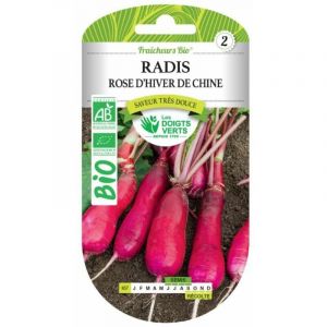 Les doigts verts Graines radis rose d'hiver de Chine bio