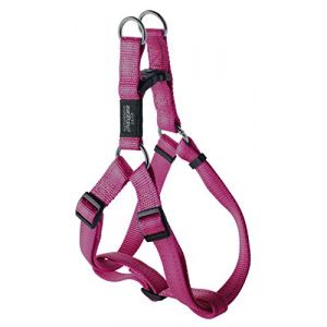 Image de Rogz Utility Grande 3/10,2 cm r&eacute;fl&eacute;chissant Fanbelt r&eacute;glable Chien Step-in-Harness