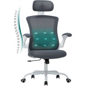Colamy - Chaises de bureau - Chaise de bureau ergonomique – Dossier haut en mesh, soutien lombaire et appuie-tête réglables, accoudoirs