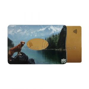 Color Pop Porte-Carte Rigide