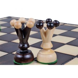 &Eacute;checs du roi moyen(35x35cm)