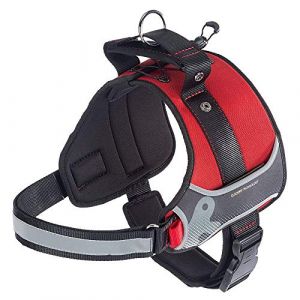 Ferplast Harnais pour Chiens HERCULES XXL, Rembourr&eacute;, R&eacute;sistant, Anti-griffures, Visible dans l'Obscurit&eacute;, avec Poign&eacute;e Rouge