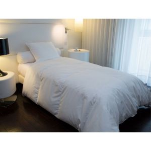 Castex Couette éco canard 30% duvet (140 x 200 cm)