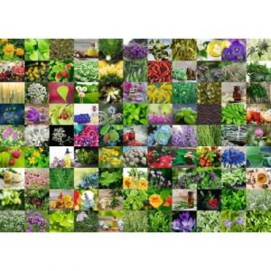 Ravensburger 99 Herbes et Epices