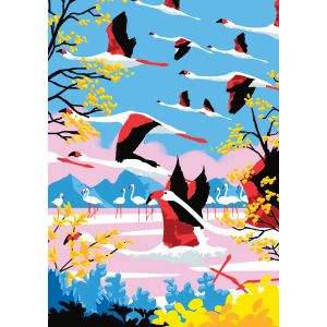 Image de Hachette L'Envol des Flamants Roses