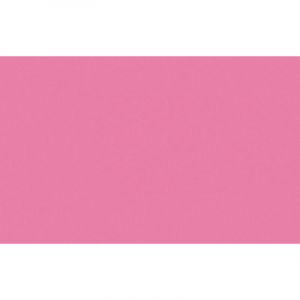 Bic Stylo feutre Intensity - baguée métal - pointe ultra fine 0,4 mm - rose