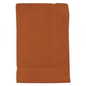 Soleil d'Ocre Tapis de Bain en Coton 800gr/m2 50x80 cm Lagune Terra