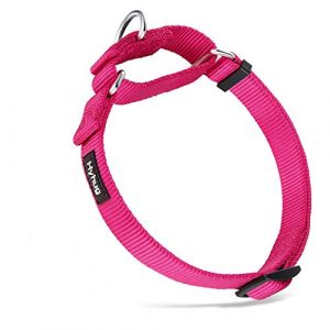Hyhug Collier de Chien Martingale en Nylon tr&egrave;s r&eacute;sistant Anti-&eacute;vasion pour Chiens de Petite Taille, gar&ccedil;ons et Filles - Usage Quotidien de la Marche. (Rose Rouge,Moyen Mod&egrave;le M)