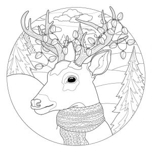 Ceanothe Tableau sur toile à colorier cerf Noël 30x30 cm