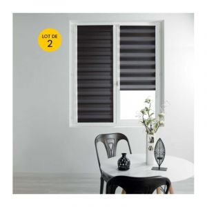 Lot de 2 Stores enrouleur jour et nuit 45 x 180 cm daynight Noir