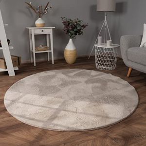 Tapis De Salon Fausse Fourrure Peluche Tapis Shaggy Long Lavable Divers Couleurs Beige, 120 cm rond - Paco Home