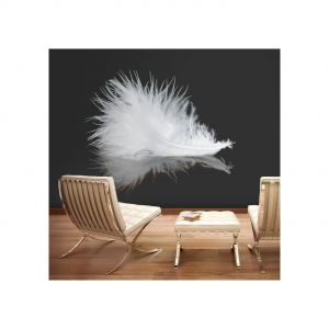 Image de Artgeist Papier Peint White Feather - Dimension - 350x270