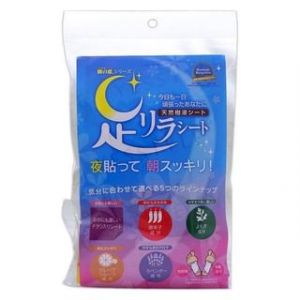 KINOMEGUMI - Natural Beauty Foot Detox Patch Variety Set 10 pcs