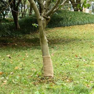 VidaXL Rouleau de jute 0,25x10 m 100 % jute 200 g/m²
