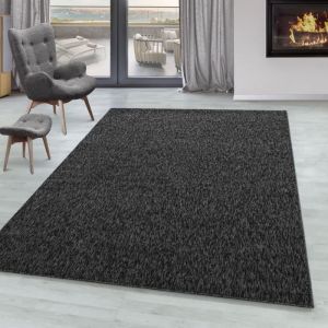 Tapis &agrave; Poils Ras, Unicolor - Monochrome, Tapis Noir, 160 x 230 cm, Tapis de Style Moderne, Tapis Salon