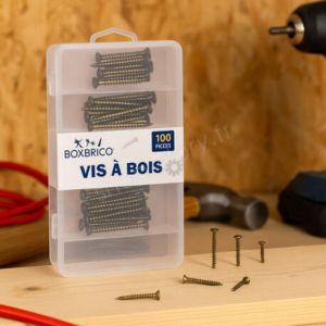 Lot de 100 Vis &agrave; Bois &ndash; 5 Tailles pour Bricolage & Menuiserie