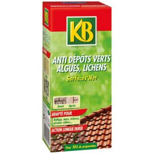 KB Anti Dépôts verts Algues et Lichens 1L