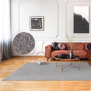 Paco Home Tapis Salon Chambre Adulte Poils Ras Motif Boho Uni Motif Scandinave Gris 80x150 cm