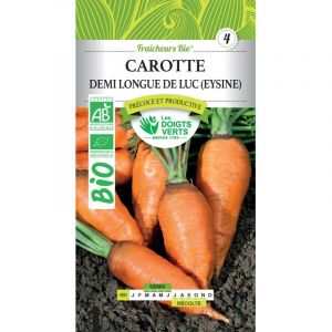 Les doigts verts Carotte de Luc (Eysines) Bio