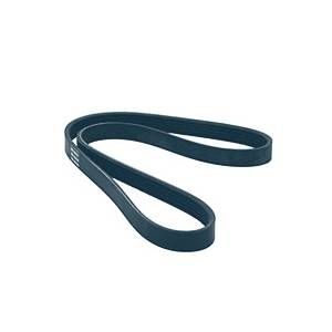 SKF Courroie Vkmv 10avx1238