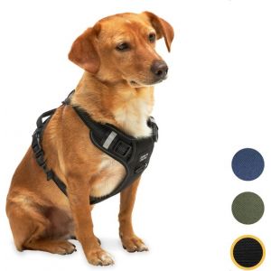 Harnais pour chien Jake et Jacky - Harnais anti-traction - Harnais pour chien - Harnais Y pour chien - Réfléchissant - Noir - Taille S
