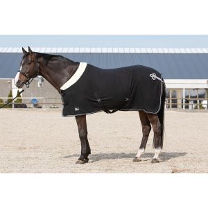 Harry's Horse Couverture polaire séchante pour cheval Champion