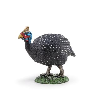 Papo Pintade