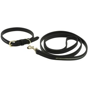 Collier et laisse pour chien Equithème Max