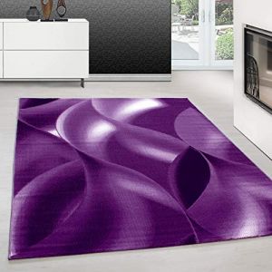 Teppium Tapis Salon, Chambre Lilas-2 200x300