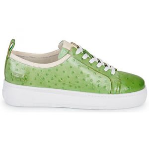 Baskets basses Melvin & Hamilton AMBER 6 Vert - Taille 37,38,39,40