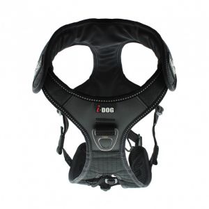 Raidlight I-Dog CANITRAIL Harnais, Hommes, 200 Black, L