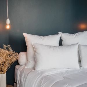 Bdreams - Oreillers 50x70 cm - Oreillers Anti-acariens - Confort Moelleux - Qualité Hôtellerie - Fabriqué en France - Percale Coton
