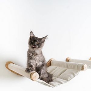 Arbre à chat - RHRQuality Mur d'Escalade Chats - Hamac de Luxe XXL (Beige)