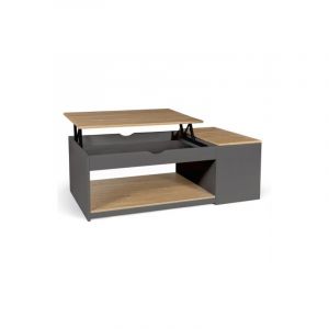 Idmarket Table basse plateau relevable ELEA avec coffre bois gris et façon hêtre - Multicolore