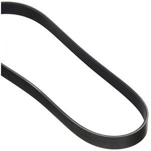 Image de Dayco Courroie trap&eacute;zo&iuml;dale &agrave; nervures 6PK800